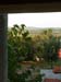 The view
